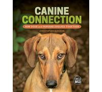 Canine Connection: How Dogs and Humans Evolved Together