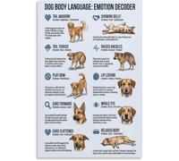 Canine Emotion Decoder Poster