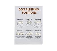 Canine Sleeping Positions Chart Poster - Understand Your Dog's Health and Mood with Educational Guide Wall Art(Unframed,16x24inch(40x60cm))