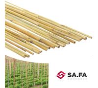 CANNA BAMBOO TUTORE SUPPORTO PALO SOSTEGNO RAMPICANTI ORTAGGI PIANTE GIARDINO