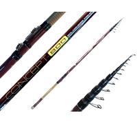 Canna Bolognese 8 mt Carbonio Alto Modulo Pesca Mare Lago Orata Sarago Concept