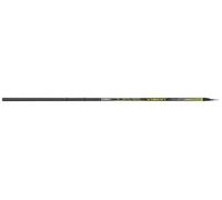CANNA BOLOGNESE TUBERTINI LEVEL VISION 6MT
