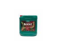 Canna - Boost Accelerator | Stimolatore