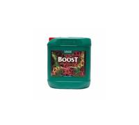 Canna - Boost Accelerator | Stimolatore