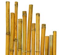 CANNA CANNETO PER PIANTE IN BAMBU 25 PZ AGRICOLTURA ORTO Ø 26-28 MM H 2,10 MT