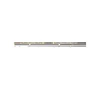 Canna Cassiopea NXT Surf 172-18-255 Trabucco