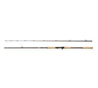 Canna casting Abu Garcia Beast Pro 2.21m 50-150g Pyrite Brown