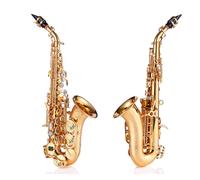Canna Curva Piccola Per Sassofono Saxophone In Si Bemolle Universale Per Principianti E Strumenti Professionali (Color : Gold)