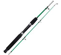 Canna da Pesca da Esterno 1 Metro 1065 Grammi Con Due Sezioni Design Bilanciato