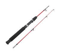 Canna da Pesca da Esterno 1 Metro 1065 Grammi Con Due Sezioni Design Bilanciato
