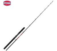 Canna da pesca in acqua salata PENN WARFARE Light Trolling 6-12 libbre