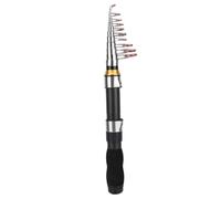 Canna da Pesca Mini per Pesca in Mare e Acqua Dolce, Canna da Pesca Portatile con Accessori per Mare Aperto e Laghi