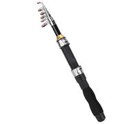 Canna da Pesca Mini per Pesca in Mare e Acqua Dolce - Ideale per Mare Aperto (1.5M) con Accessori Completi