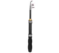 Canna da Pesca Mini Portatile in Mare, Corta per Pesca sul Ghiaccio 28049-100 (1.2m)