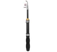 Canna da Pesca Portatile Mini Compact 1M per Mare e Acqua Dolce con Set Accessori Completo per Pesca in Barca e Spiaggia