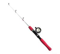 Canna da pesca sul ghiaccio, 60 cm, con punta trasparente, telescopica, portatile, con rilevamento dei morsi sensibili, compatta, per pescatori in acqua fredda + (puleggia da 60 cm)