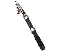 Canna da Pesca Tasca Mini Canna da Pesca per Pesca in Mare Pesca D'Acqua Dolce in Mare Aperto(1.9M) Canna da pesca e suoi accessori