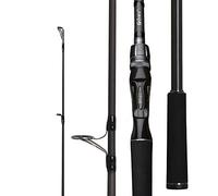 Canna da Pesca Telescopica 1.98m 2.28m .58 3 Sezione Fuso di Esca Canna da Pesca Viaggi Ultra Casting Luce for Barca Lure 7G-55g Rod(Casting2.43m40 120g)