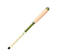 Canna da pesca telescopica - Canna da pesca piccola da 120 cm | Canna da pesca portatile allungabile con manico antiscivolo | Attrezzatura da pesca - Riverside Lakeside Beach