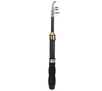 Canna da pesca telescopica, canna da trota tascabile portatile universale con mini canna da pesca per pesca con la mosca sul ghiaccio in acqua salata (1M)