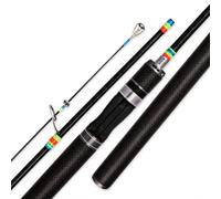 Canna da Pesca Telescopica in Composito | Anelli guida ceramica, Canna da Lancio, Casting leggero, Per Pescatori Acque Dolci