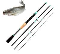 Canna da Viaggio | Canna da Lancio in Fibra di Vetro Multi Sezione, Portatile Adatta Per Pesca In Fiume Lago Spiaggia Torrente Gita In Barca Escursionismo