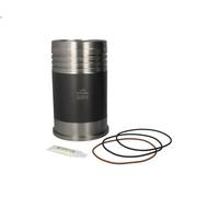 Canna del cilindro GOETZE 15-260040-00 per IVECO EUROSTAR 10.308 1993-2002