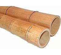 Canna di Bambù Naturale MOSO Gigante 150cm Ø 4/6 cm - SECONDA SCELTA - Canne di Bamboo per Arredamento, Giardino, Decorazioni o Progetti Fai da Te
