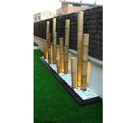 Canna di Bambù Naturale MOSO Gigante 50 cm Ø 7/9 cm - SECONDA SCELTA - Canne di Bamboo per Arredamento, Giardino, Decorazioni o Progetti Fai da Te