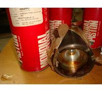 CANNA E PISTONE MONDIAL PISTON 1.05.00.7749 OM CARRO -120 TIGROTTO -DIAM. 110 MM
