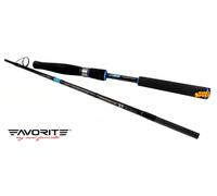 CANNA FAVORITE SALT WATER SX 1 7615M SPINNING OFFSET 228 CM 18-40 GR FAST