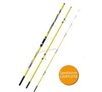 CANNA LINEAEFFE REFLEXION 4.20 M 250 G PESCA SURF CASTING INNESTI