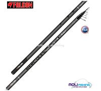 CANNA PESCA BOLOGNESE FALCON HERCULES BOLO SLIM 5-6-7 M AZIONE STRONG 30 GR FUJI