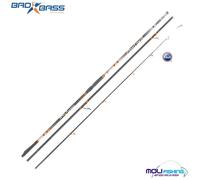 CANNA PESCA SURFCASTING BAD BASS PANTHER 450 - 200 GR TECNICA NAGE ULTRA SLIM