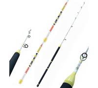 Canna Pesca Vertical Jigging Cernia Polpo Traina Aguglia Tonno ACID 15/50Lb EH