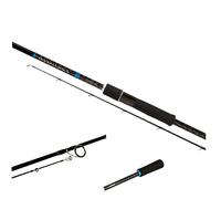 CANNA Shimano Bassterra Sea Bass SPINNING MARE 2 PEZZI SPIGOLA SERRA