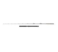 Canna spinning PENN Regiment IV Halibuster 2.40m 30-50lb Silver