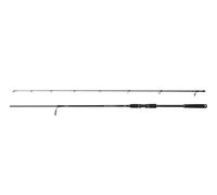 Canna spinning PENN Squadron IV Labrax Spin 2.70m 20-50g Black