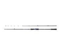 Canna Technium Tai Rubber AX Cast 2,18m 7'2" 130g 2pc Shimano