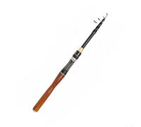 Canna telescopica da pesca in mare, in fibra di vetro, asta da surf casting, portatile, da viaggio, per pesca in acqua salata, spiaggia, roccia, barca, 1,6 m-2,4 m (A-1,6 m)