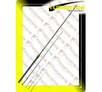 Canna Tubertini Pencil Feeder 10 ft