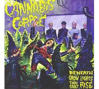 Canna orpse - Beneath Grow Lights