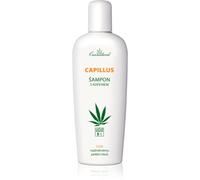 Cannaderm Capillus Caffeine shampoo shampoo con olio di cannabis 150 ml