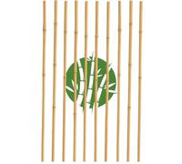 Canne Bambù Naturale per Piante - Tutori Giardino Orto, Sostegni Rampicanti, Paletti Pomodori Melanzane - Bastoni Bamboo Trapianto Piantine, Cannette da Esterno e Interno (Bambù (210cm), 25)