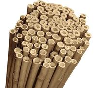 CANNE di Bamboo Thai - Sostegno Naturale per POMODORI E RAMPICANTI, Ideale per ORTAGGI, Piante E ORTO - Canna Bamboo - (50 canne CM.240 / Ø 18/20)