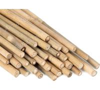 Canne di Bambu' h.240cm Ø 22/24 mm 10 Pezzi - Resistenti Naturali - Per Sostegno Ortaggi e Piante o Arredamento di design - Ideali per Pomodori e Rampicanti - Canna di Bamboo per Orto