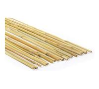 Canne di bambù naturali, per piante, orto, decorazione e arredamento (100, 100, 240 cm/Ø 16/18 mm)