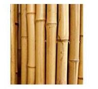 CANNE IN BAMBOO PER SOSTEGNO ORTAGGI E ALTRI USI DA CM 300 DI ALTEZZA (10)