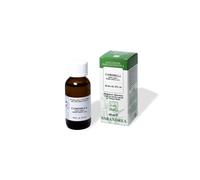 Cannella Ceylon Olio Essenziale 100 Ml