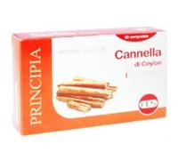 CANNELLA ESTRATTO SECCO 60CPR
